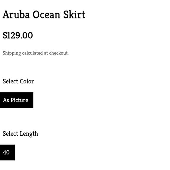 Aleeza Paris - Blue Blue Maxi Skirt - Picture 7 of 9